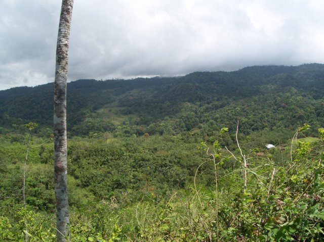 Une photo de l'album « Costa Rica 2004 » sur le site web de la famille Ratté.