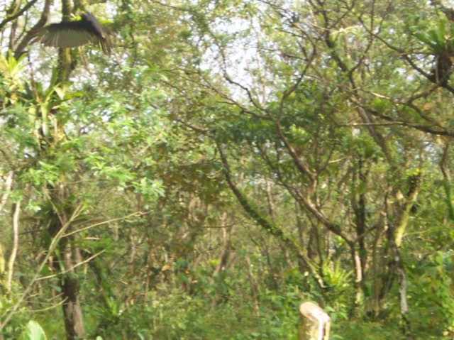 Une photo de l'album « Costa Rica 2004 » sur le site web de la famille Ratté.