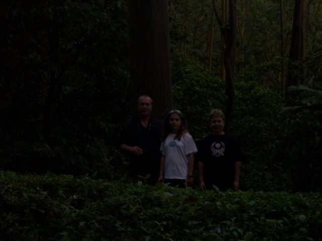 Une photo de l'album « Costa Rica 2004 » sur le site web de la famille Ratté.