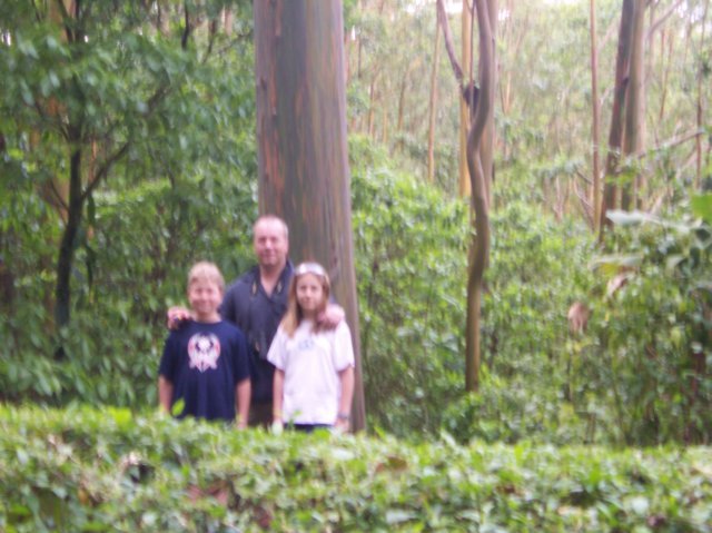 Une photo de l'album « Costa Rica 2004 » sur le site web de la famille Ratté.