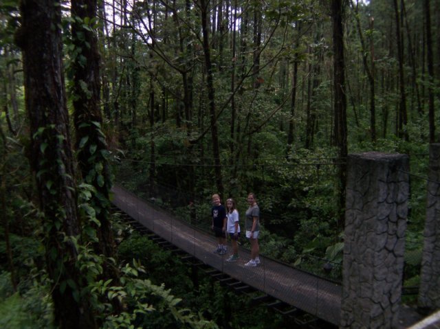 Une photo de l'album « Costa Rica 2004 » sur le site web de la famille Ratté.