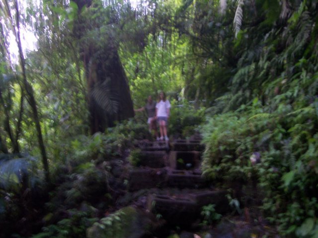 Une photo de l'album « Costa Rica 2004 » sur le site web de la famille Ratté.