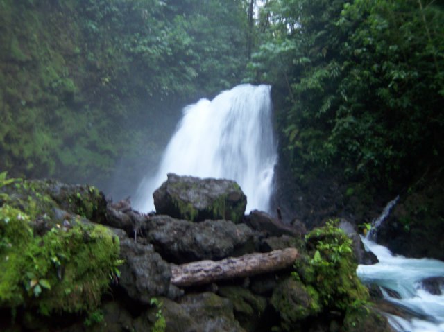 Une photo de l'album « Costa Rica 2004 » sur le site web de la famille Ratté.