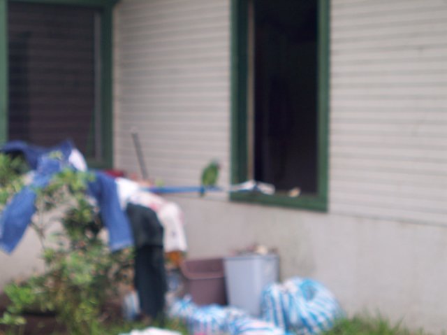 Une photo de l'album « Costa Rica 2004 » sur le site web de la famille Ratté.
