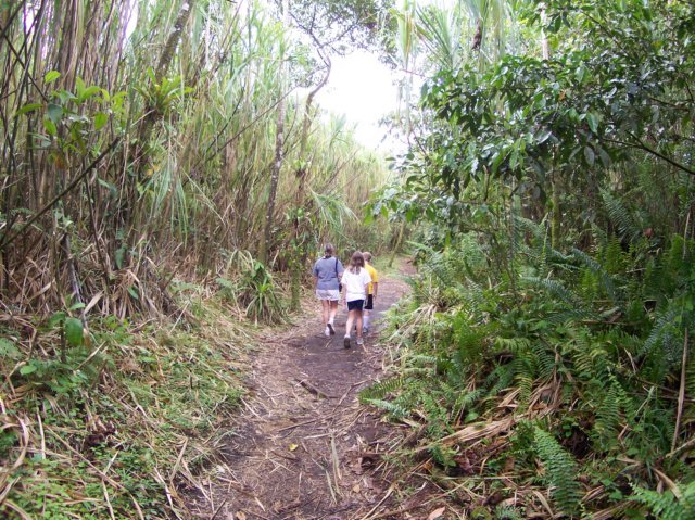 Une photo de l'album « Costa Rica 2004 » sur le site web de la famille Ratté.