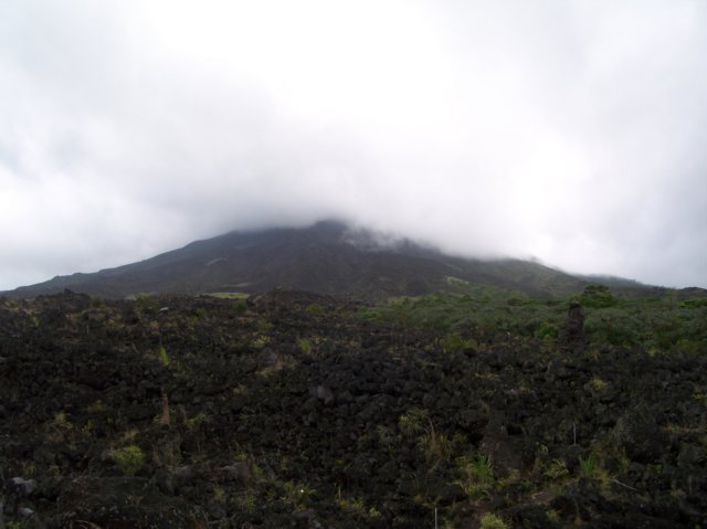 Une photo de l'album « Costa Rica 2004 » sur le site web de la famille Ratté.