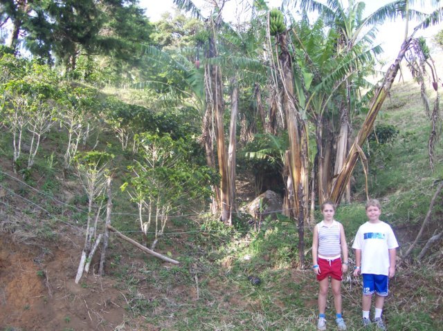 Une photo de l'album « Costa Rica 2004 » sur le site web de la famille Ratté.