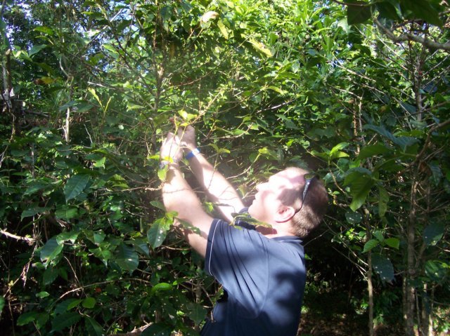 Une photo de l'album « Costa Rica 2004 » sur le site web de la famille Ratté.