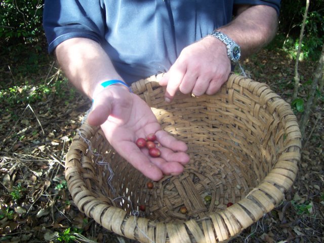 Une photo de l'album « Costa Rica 2004 » sur le site web de la famille Ratté.