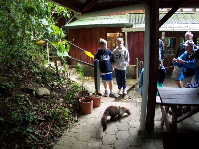 Une photo de l'album « Costa Rica 2004 » sur le site web de la famille Ratté.