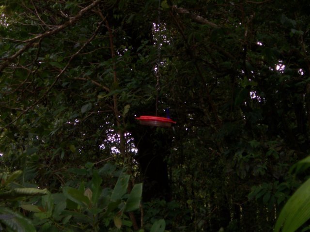Une photo de l'album « Costa Rica 2004 » sur le site web de la famille Ratté.