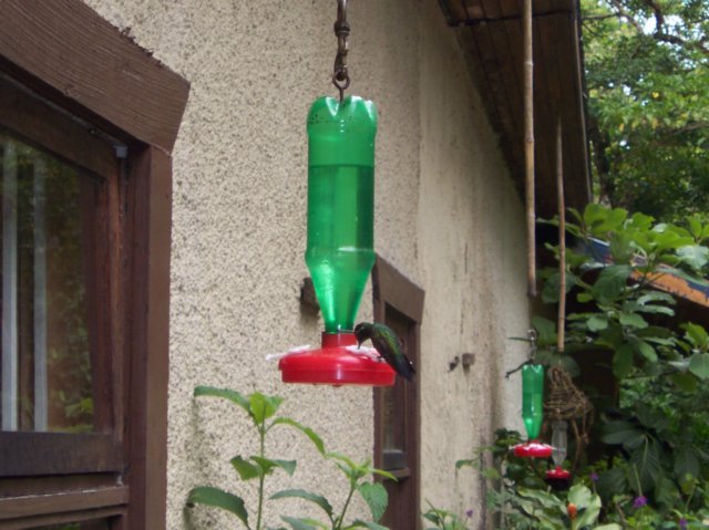 Une photo de l'album « Costa Rica 2004 » sur le site web de la famille Ratté.