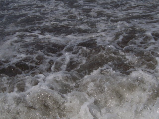 Une photo de l'album « Costa Rica 2004 » sur le site web de la famille Ratté.