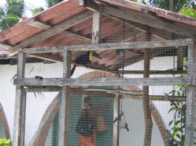 Une photo de l'album « Costa Rica 2004 » sur le site web de la famille Ratté.