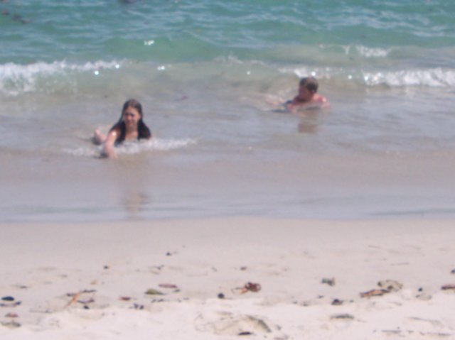 Une photo de l'album « Costa Rica 2004 » sur le site web de la famille Ratté.