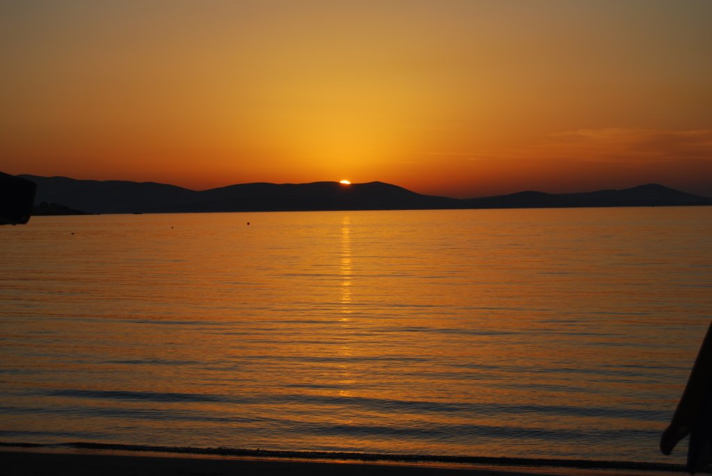 dsc_0078.jpg