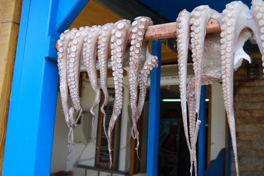 dsc_0142.jpg