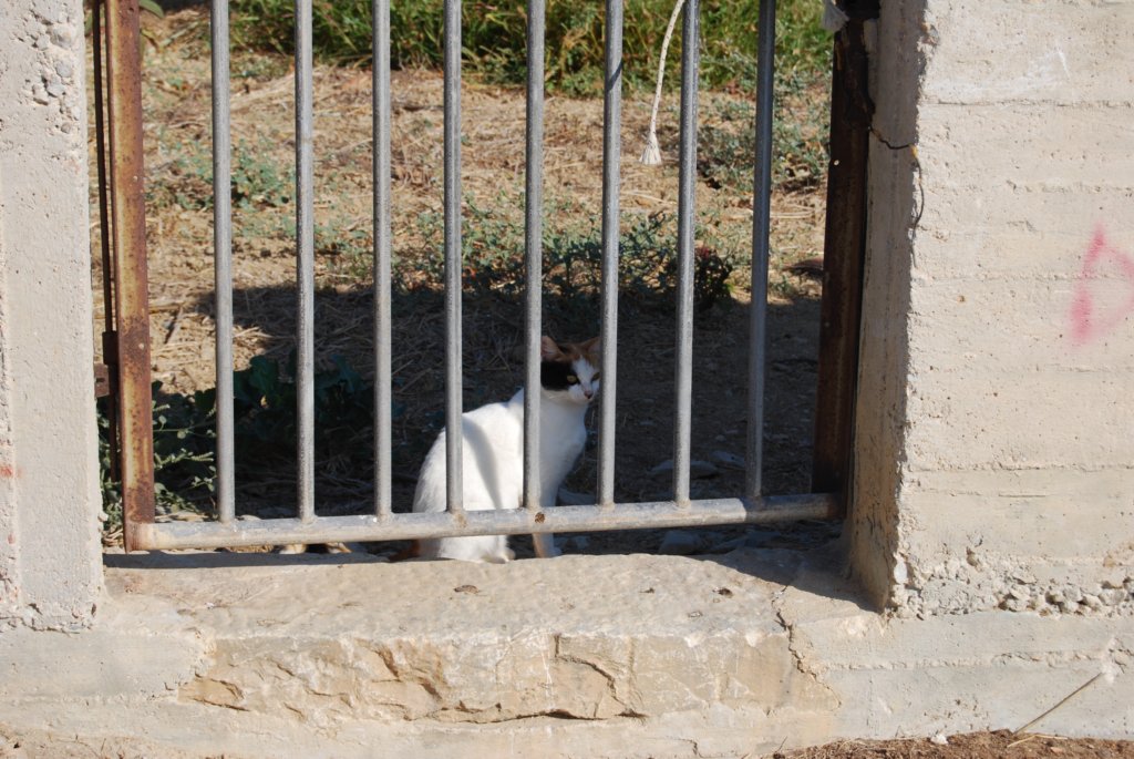dsc_0171.jpg