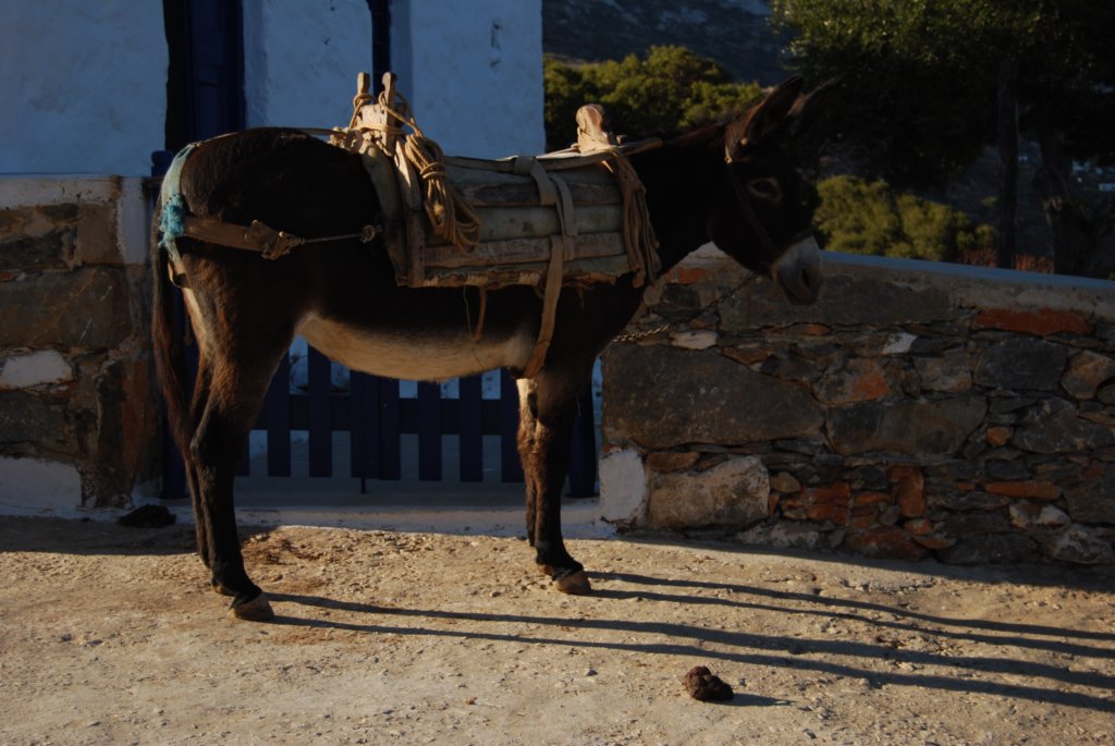 Une photo de l'album « Les Cyclades » sur le site web de la famille Ratté.