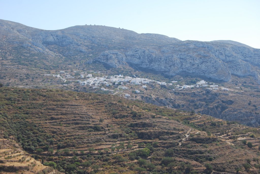 dsc_0259.jpg
