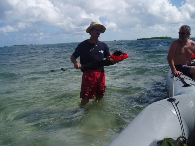Une photo de l'album « Guadeloupe 2004 » sur le site web de la famille Ratté.