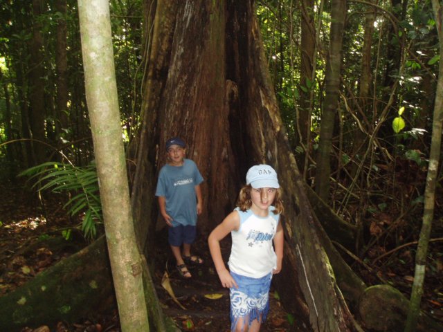 Une photo de l'album « Guadeloupe 2004 » sur le site web de la famille Ratté.