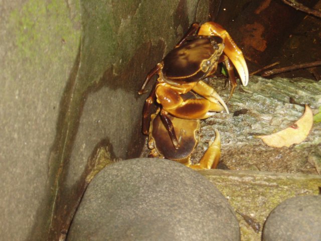 Une photo de l'album « Guadeloupe 2004 » sur le site web de la famille Ratté.