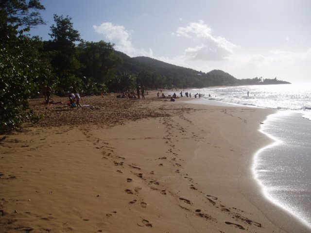 Une photo de l'album « Guadeloupe 2004 » sur le site web de la famille Ratté.