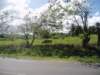 photo_7