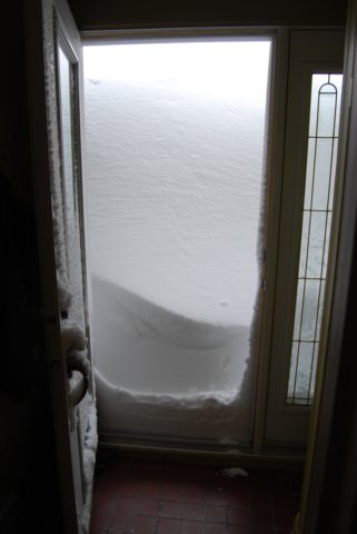 portedentreavantparcequedetoutefaoncelanesortpasvraiment.jpg