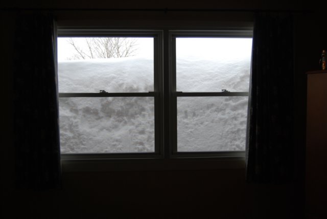Vue de notre chambre le 7 mars