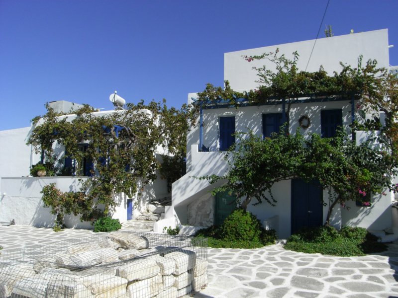 RIMG0004.JPG