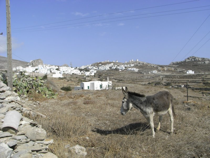 RIMG0004.JPG