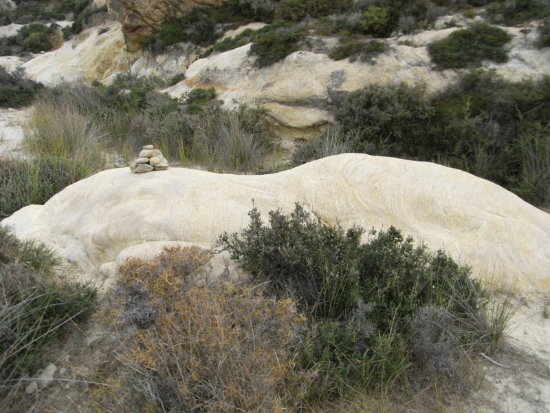 RIMG0004.JPG