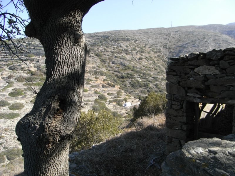 RIMG0004.JPG