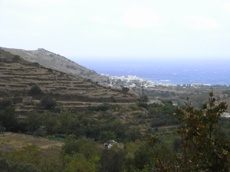 RIMG0005.JPG