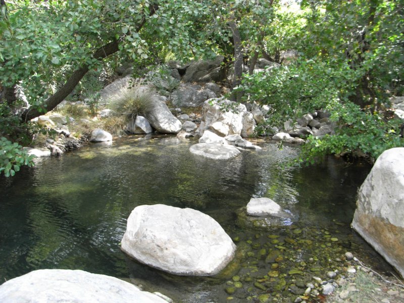 RIMG0005.JPG