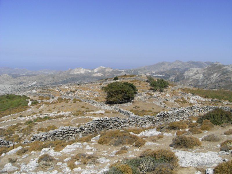 RIMG0006.JPG