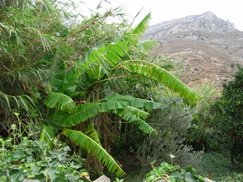 RIMG0007.JPG