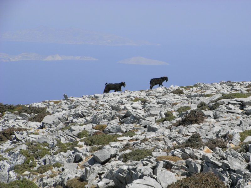 RIMG0008.JPG