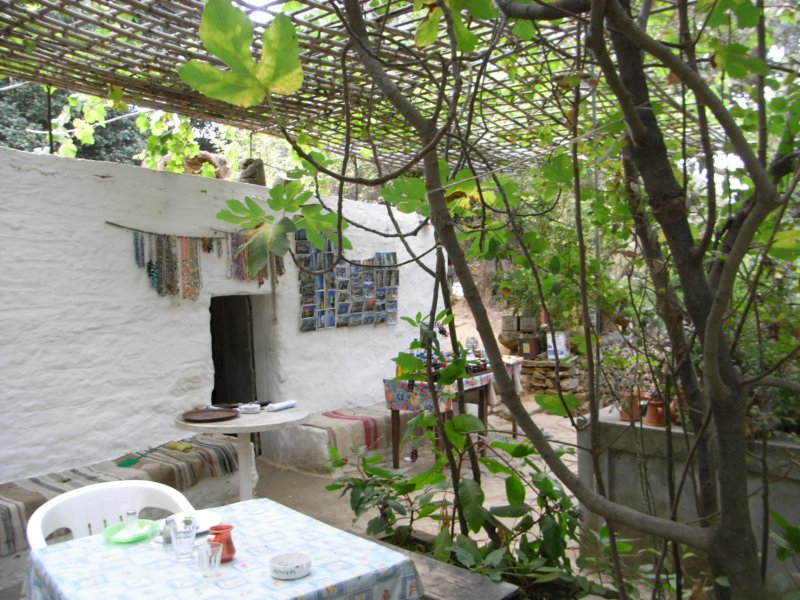 RIMG0008.JPG