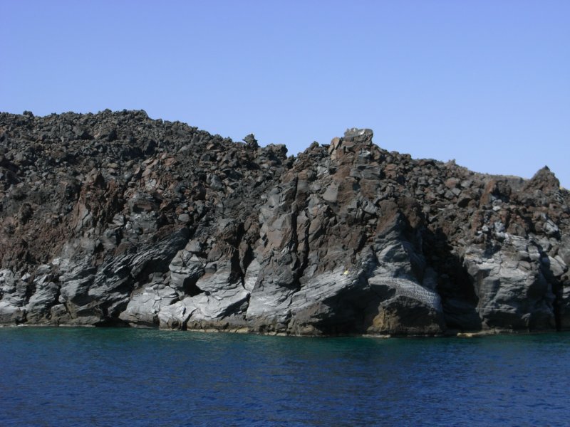 RIMG0009.JPG