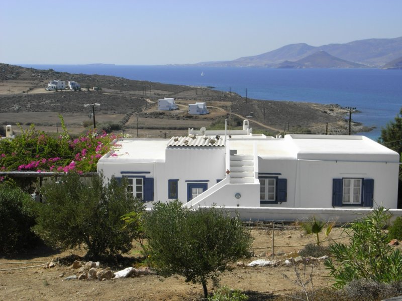 RIMG0009.JPG