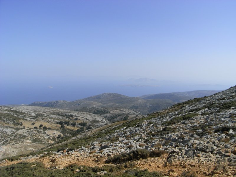 RIMG0009.JPG