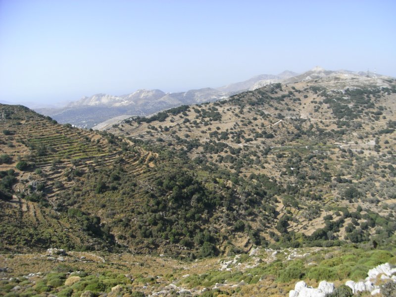 RIMG0011.JPG