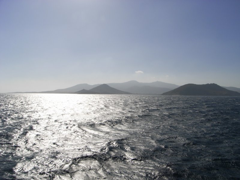 RIMG0011.JPG