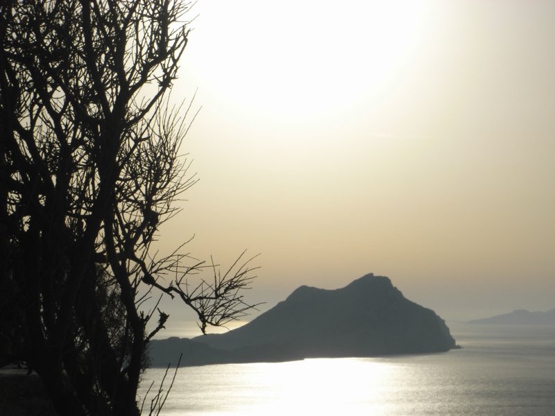 RIMG0011.JPG