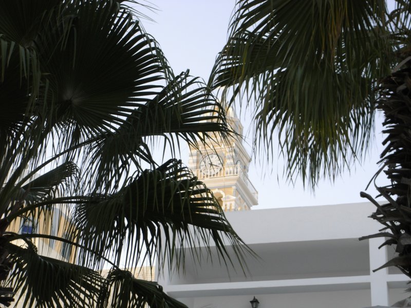 RIMG0013.JPG
