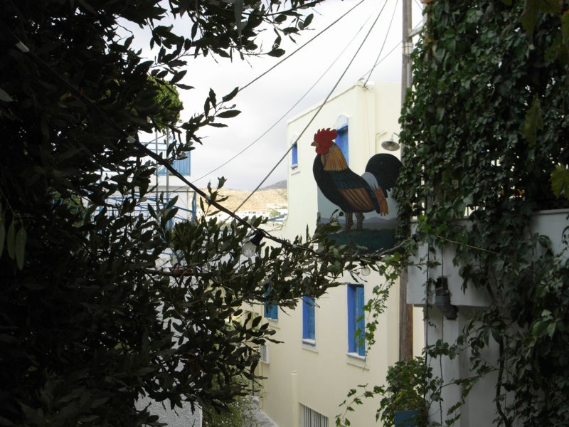 RIMG0014.JPG
