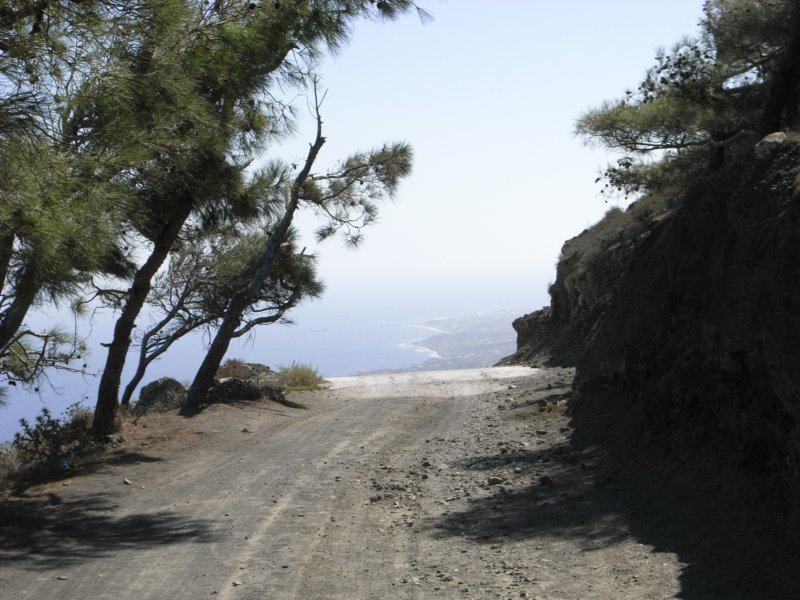 RIMG0017.JPG